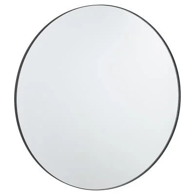 Mirror8938487
