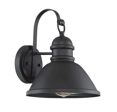 Moutd One Light Outdoor Wall Sconce (M50016BK)