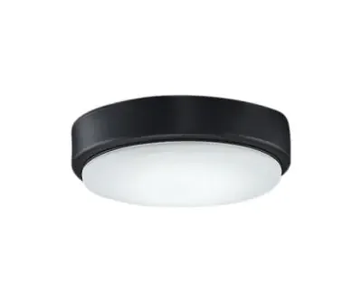 One Light Fan Light Kit
