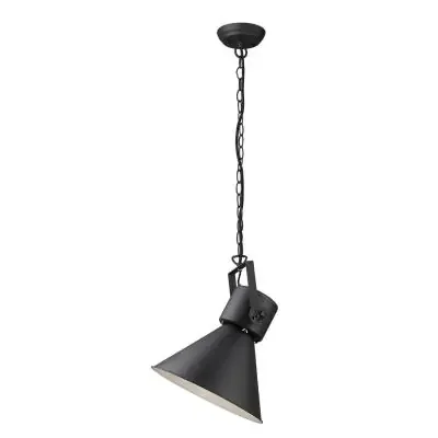 One Light Pendant