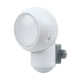 Osram 0.3w N/A 3000k Spylux Battery Powered Portable Light – Warm White