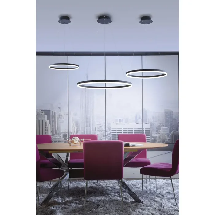 Paul Neuhaus TITUS Pendant Light LED anthracite, 1-light source