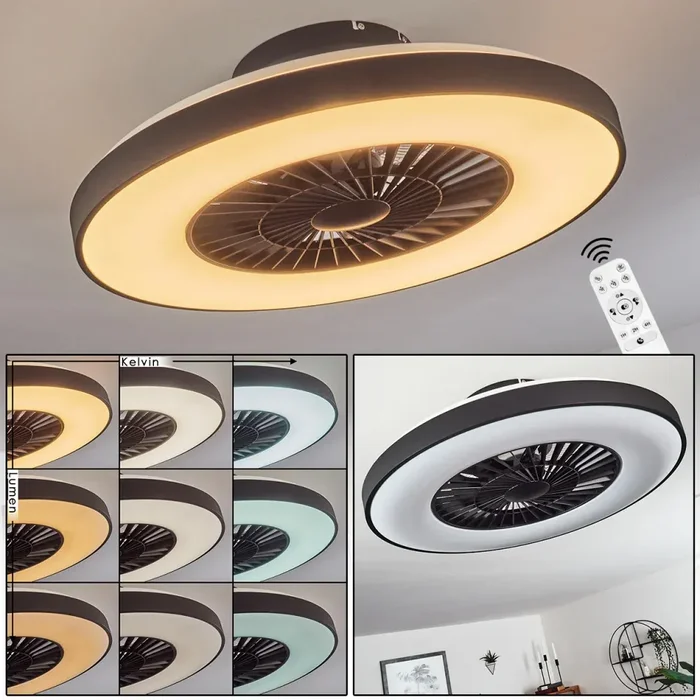 Qualiano ceiling fan LED black, white, 1-light source, Remote control