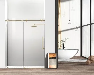 Shower Door4539070