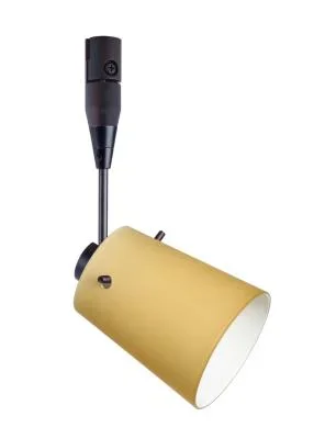 Spotlight484455