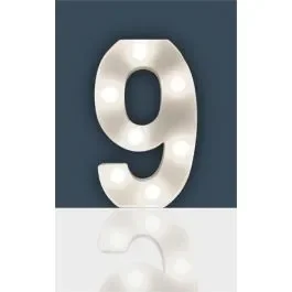 St Helens Home and Garden Battery Operated 3D LED Number Light – 9