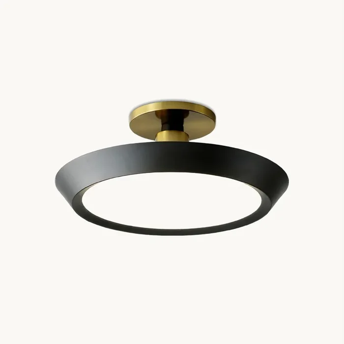 Thick Oval Ceiling LightMJC-1611-01