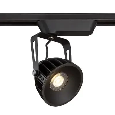 Track Head
