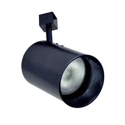 Track Head