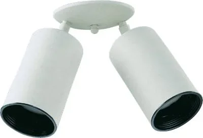Two Light Ceiling Mount530236