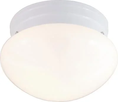 Two Light Flush Mount145480