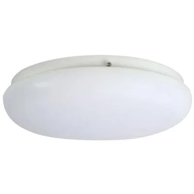 Two Light Flush Mount793614