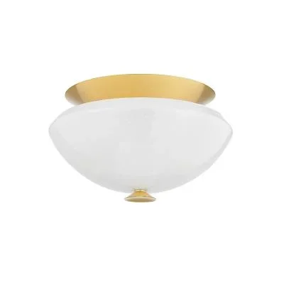 Two Light Flush Mount9265535