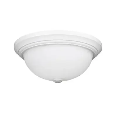 Two Light Flushmount