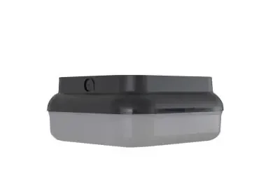 Two Light Outdoor Flushmount
