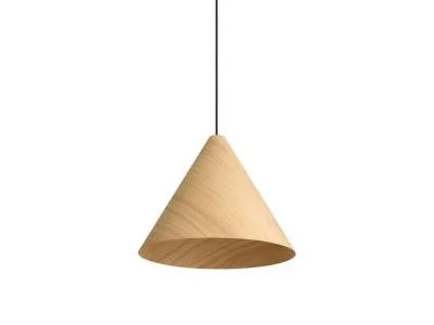 Two Light Pendant6408841