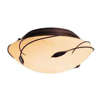 Two Light Semi-Flush Mount