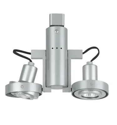 Two Light Track Fixture702576